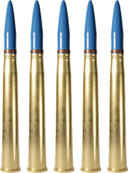 40×365 mm (TP-T) Naval Ammunition